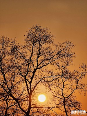 【鏡頭里的故事】+冬日夕陽(yáng)