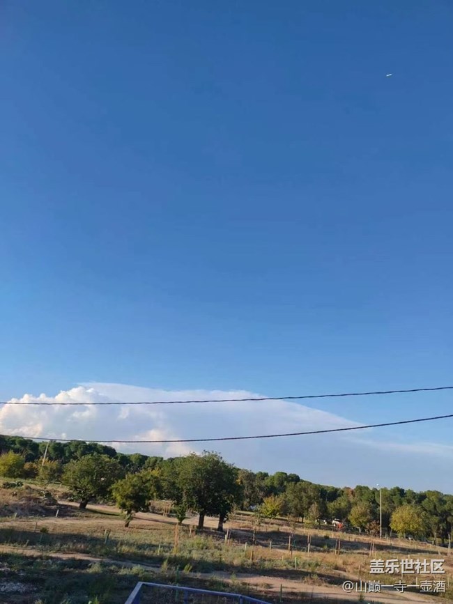 【折疊屏手機(jī)里的春夏秋冬】秋季森林