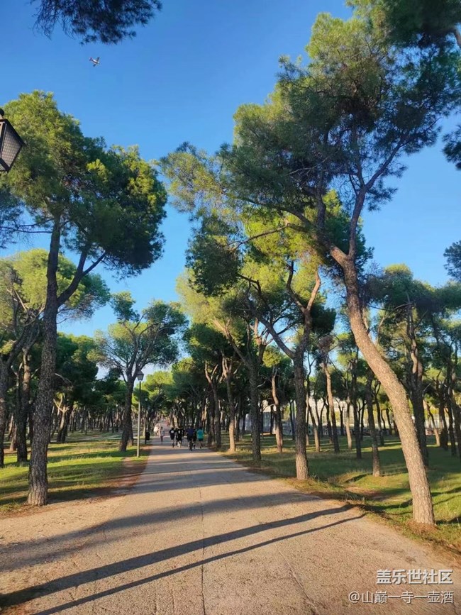 【折疊屏手機(jī)里的春夏秋冬】秋季森林