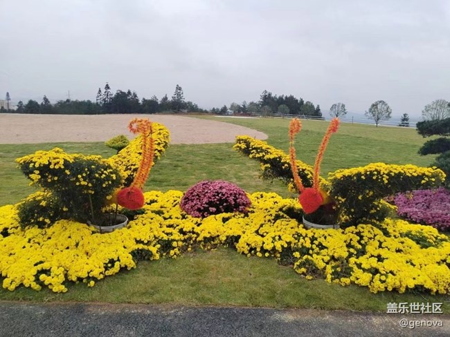 【折疊屏手機里的春夏秋冬】菊園