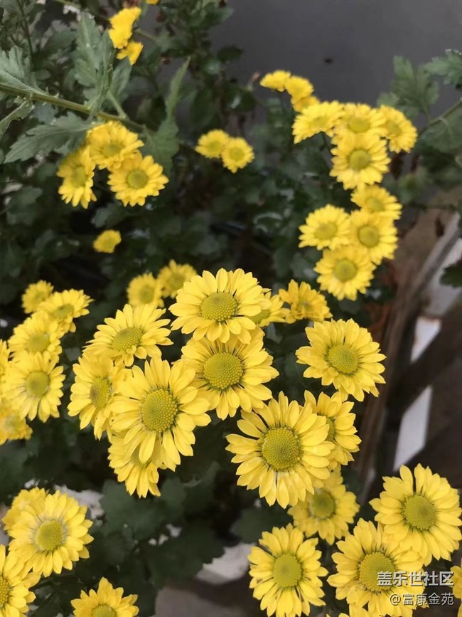 【折疊屏手機里的春夏秋冬】大自然