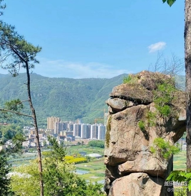 【折疊屏手機(jī)里的春夏秋冬】爬山看風(fēng)景
