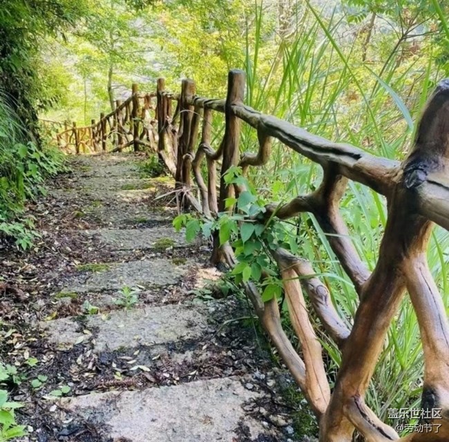 【折疊屏手機(jī)里的春夏秋冬】爬山看風(fēng)景
