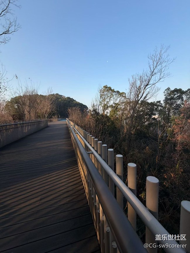 【折疊屏手機里的春夏秋冬】清晨