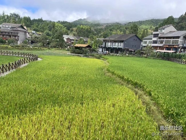 【折疊屏手機(jī)里的春夏秋冬】夏季景色