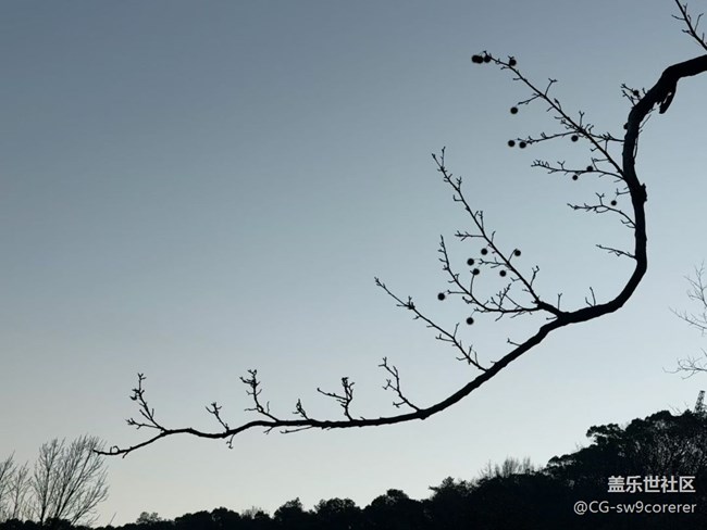 【折疊屏手機里的春夏秋冬】清晨