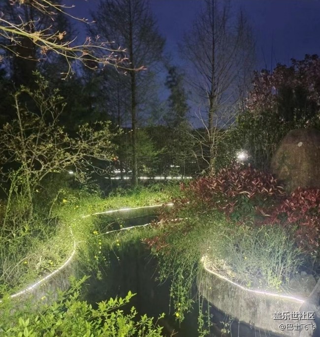 【折疊屏手機(jī)里的春夏秋冬】夏季郊野