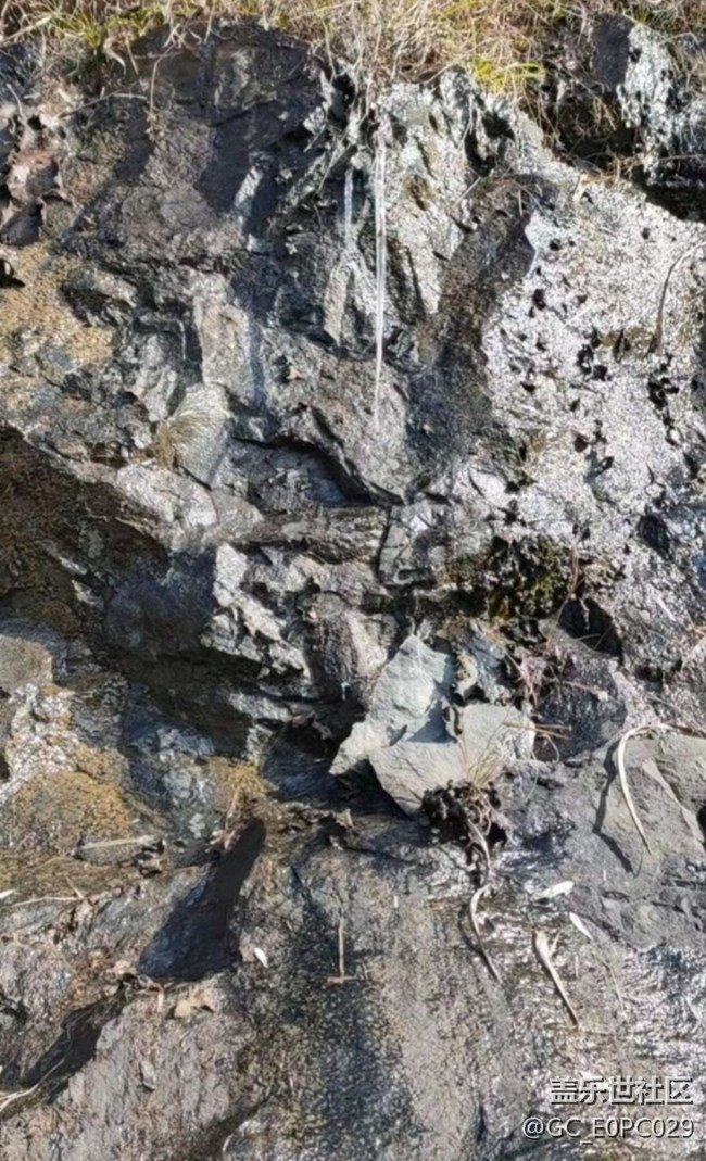 【折疊屏手機(jī)里的春夏秋冬】過(guò)年真冷