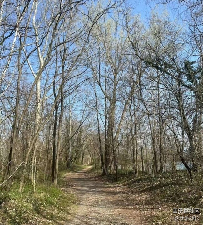 【折疊屏手機里的春夏秋冬】找春天