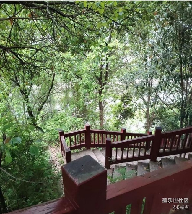 【折疊屏手機(jī)里的春夏秋冬】鳥(niǎo)語(yǔ)花香