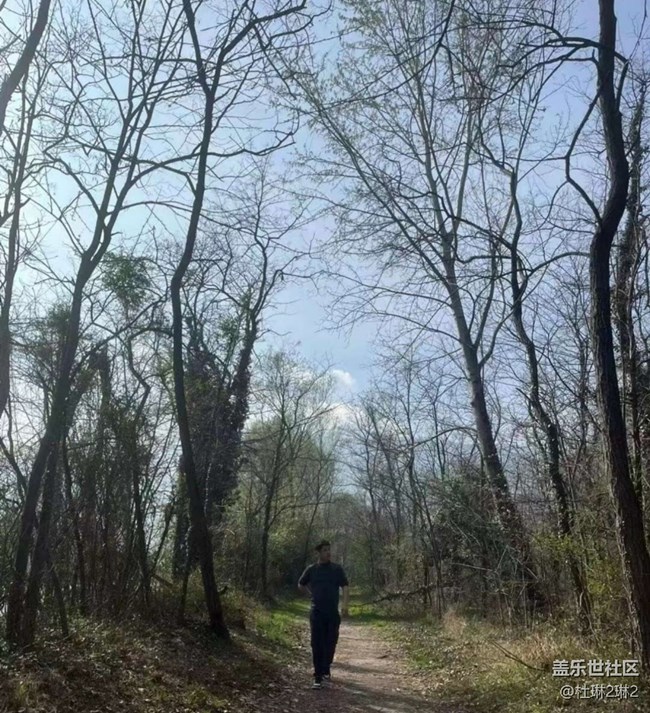 【折疊屏手機里的春夏秋冬】找春天