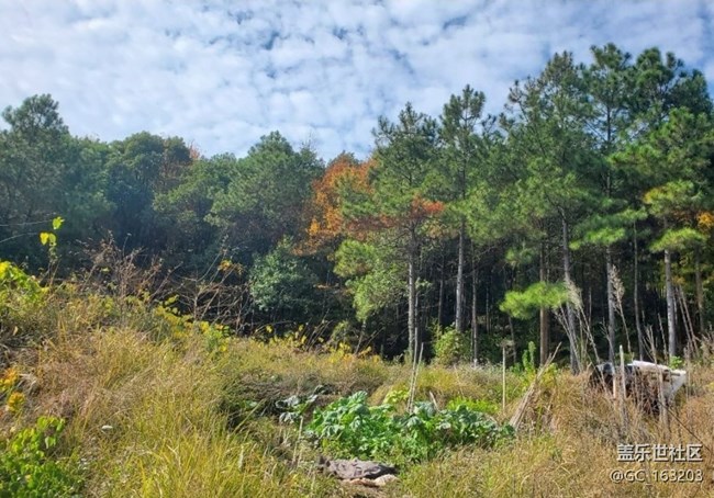 【折疊屏手機里的春夏秋冬】秋季山林