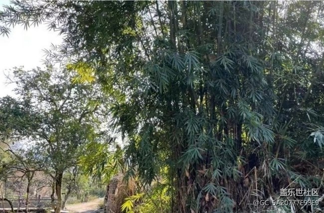 【折疊屏手機(jī)里的春夏秋冬】春天隨拍