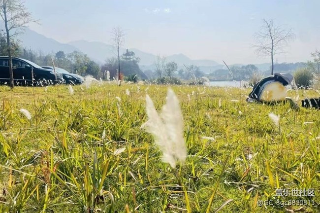 【折疊屏手機(jī)里的春夏秋冬】冬日
