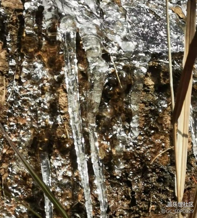 【折疊屏手機(jī)里的春夏秋冬】過(guò)年真冷