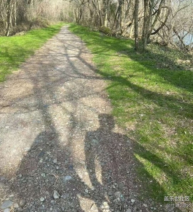 【折疊屏手機里的春夏秋冬】找春天