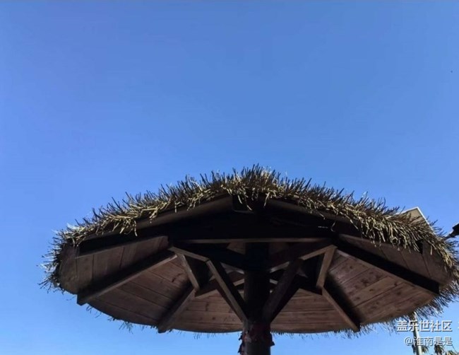 【折疊屏手機(jī)里的春夏秋冬】春游