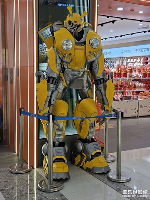 【鏡頭里的故事】+隨拍