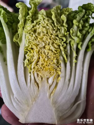 【鏡頭里的故事】我和我的三星