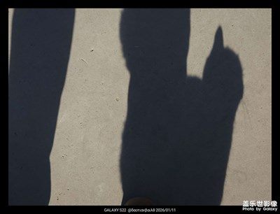 【鏡頭里的故事】+戀家的貓