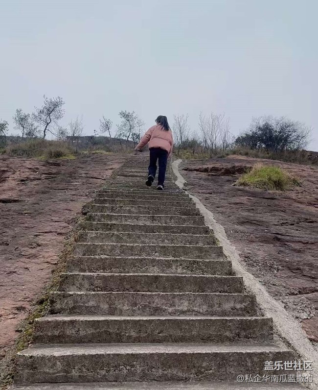 【折疊屏手機里的春夏秋冬】春天爬個山