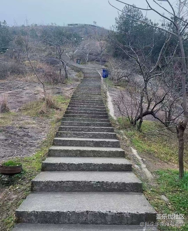 【折疊屏手機里的春夏秋冬】春天爬個山