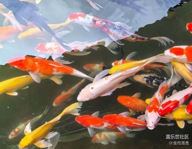 【折疊屏手機(jī)里的春夏秋冬】春游