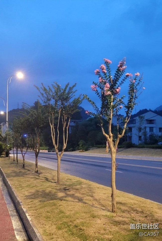 【折疊屏手機(jī)里的春夏秋冬】秋景