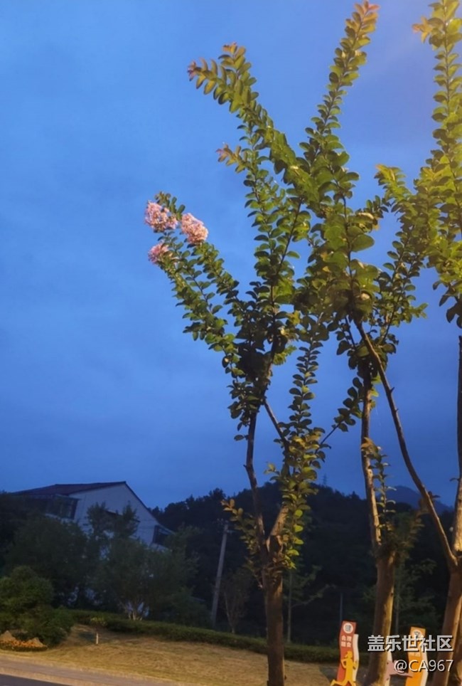 【折疊屏手機(jī)里的春夏秋冬】秋景