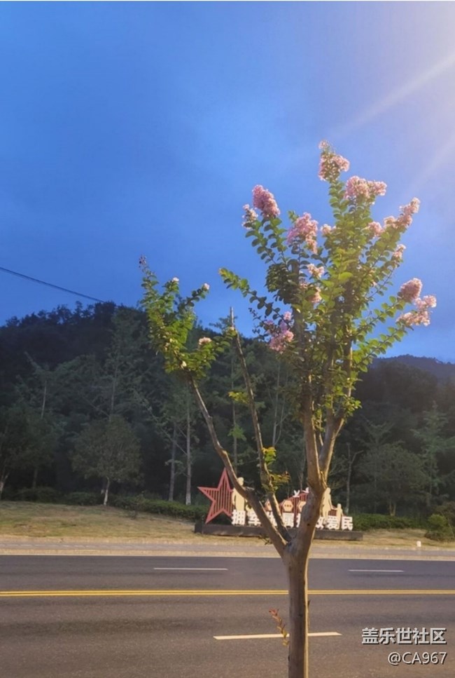 【折疊屏手機(jī)里的春夏秋冬】秋景