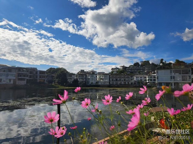 【折疊屏手機(jī)里的春夏秋冬】夏季洱海