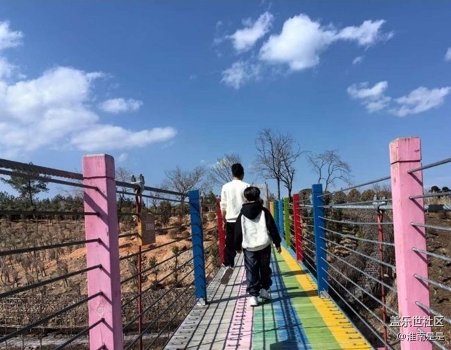 【折疊屏手機(jī)里的春夏秋冬】春游