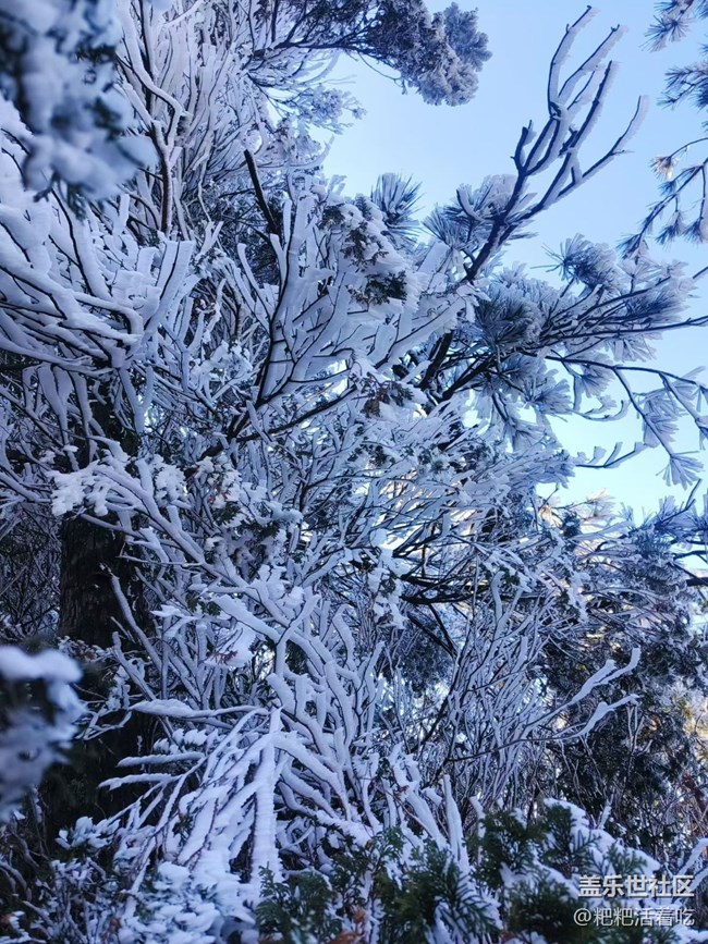 【折疊屏手機(jī)里的春夏秋冬】霧凇