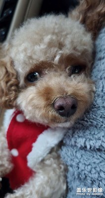 【鏡頭里的故事】+小可愛(ài)