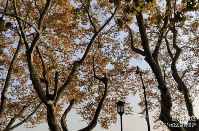 【折疊屏手機(jī)里的春夏秋冬】秋景