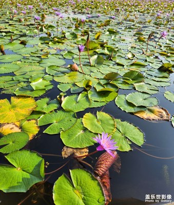 【鏡頭里的故事】像一個(gè)窗