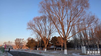 【鏡頭里的故事】公園風(fēng)景