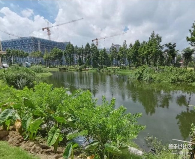 【折疊屏手機(jī)里的春夏秋冬】春意盎然