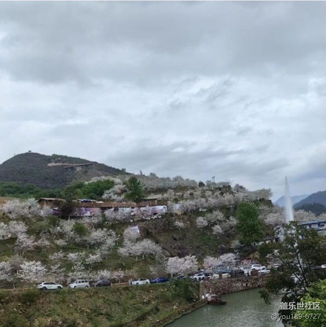 【折疊屏手機里的春夏秋冬】好春光