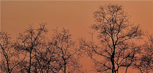 【镜头里的故事】冬日夕阳