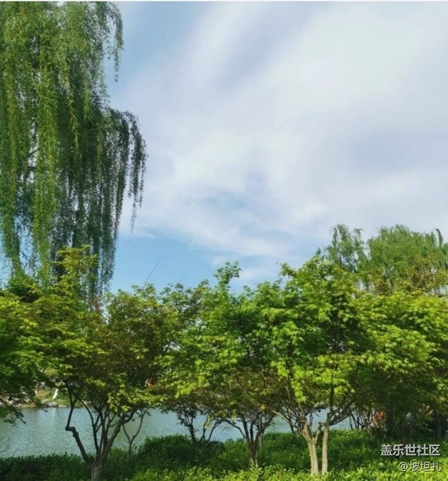 【折疊屏手機(jī)里的春夏秋冬】人間四月天