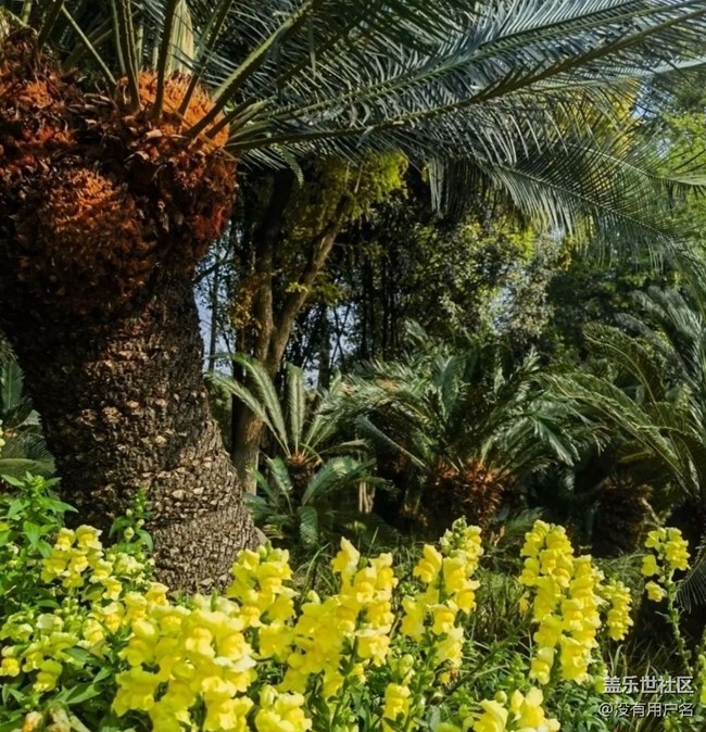 【折疊屏手機里的春夏秋冬】春日美景