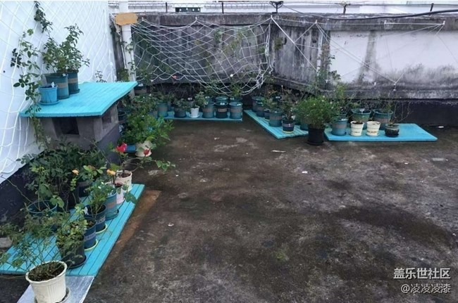 【折疊屏手機里的春夏秋冬】花季