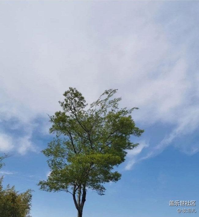 【折疊屏手機(jī)里的春夏秋冬】人間四月天