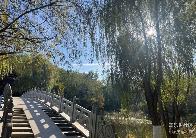 【折疊屏手機(jī)里的春夏秋冬】公園