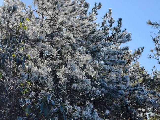 【折疊屏手機(jī)里的春夏秋冬】霧凇