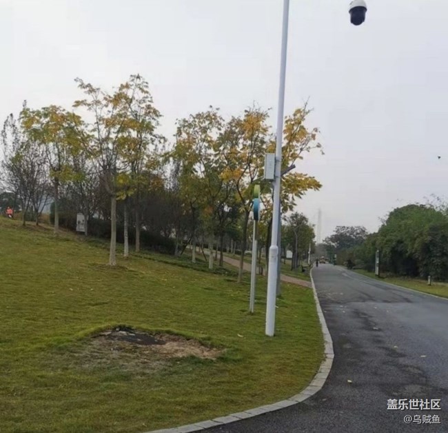 【折疊屏手機(jī)里的春夏秋冬】秋天你好