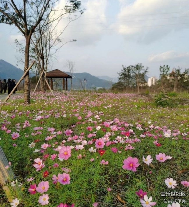 【折疊屏手機(jī)里的春夏秋冬】春回大地