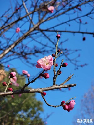 【鏡頭里的故事】+公園隨拍