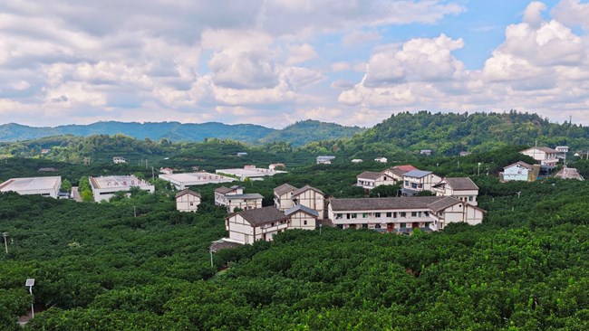 他們回來(lái)，接住了鄉(xiāng)村的春與秋